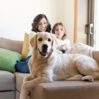 family and pet on couch